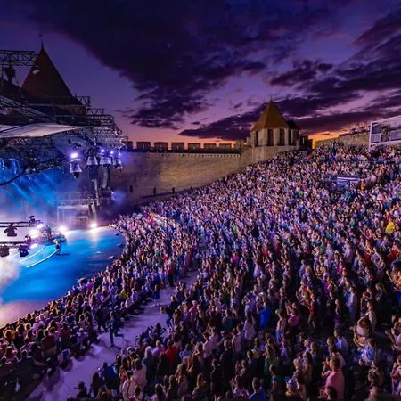 Entrez En Lice, Face A La Cite Vue Sublime Carcassonne