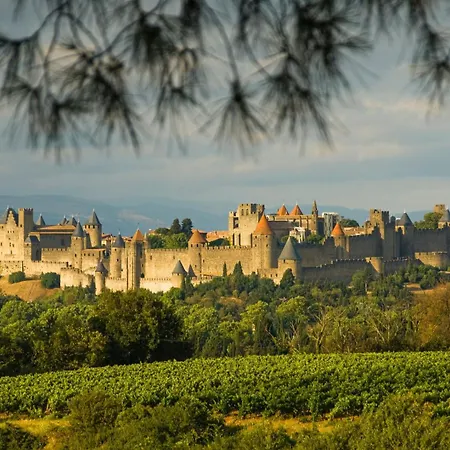 Entrez En Lice, Face à La Cité Vue Sublime
